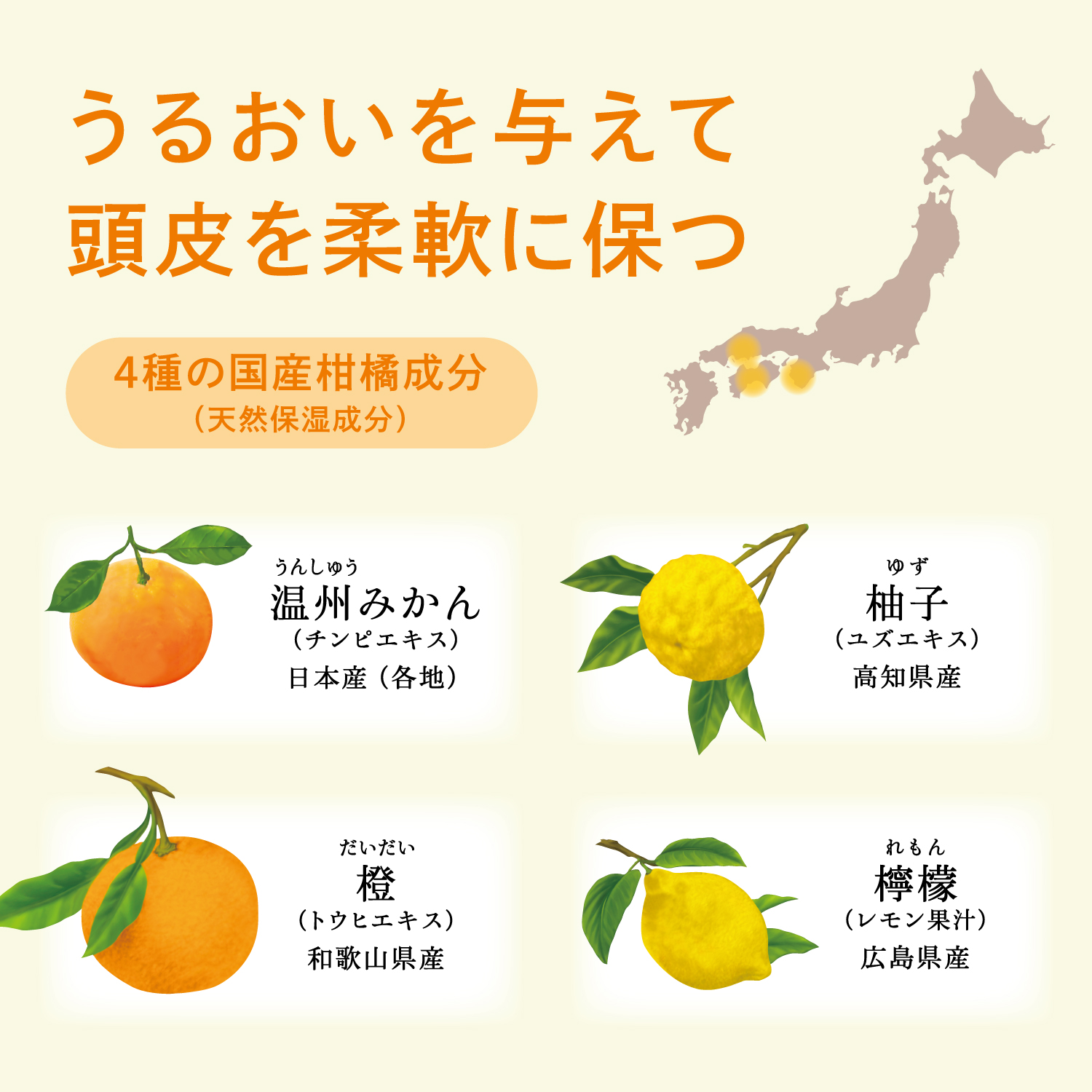 薬用柑橘ＥＸ　育毛エッセンス
